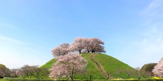 絶景SAITAMA