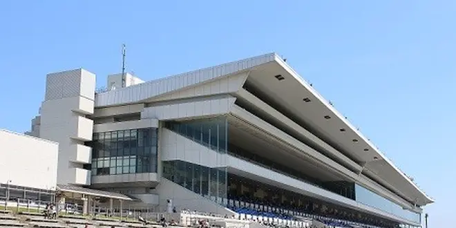 【京都市編】穴場！家族で京都競馬場ピクニック！