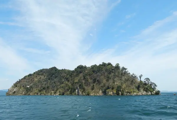 竹生島の写真・動画_image_133868