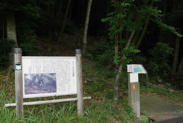 女夫岩遺跡の写真・動画_image_257602