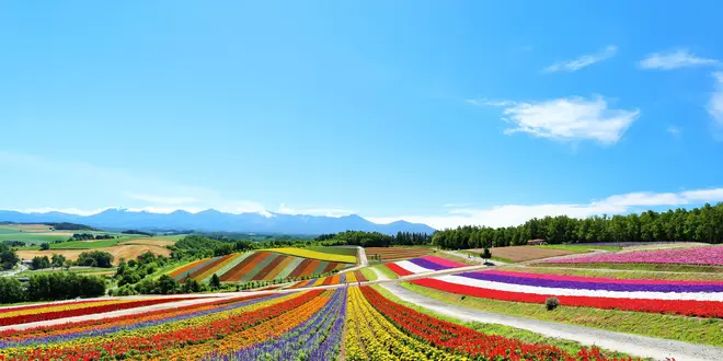 視察研修旅行in北海道　〜旭川→札幌→余市→小樽〜