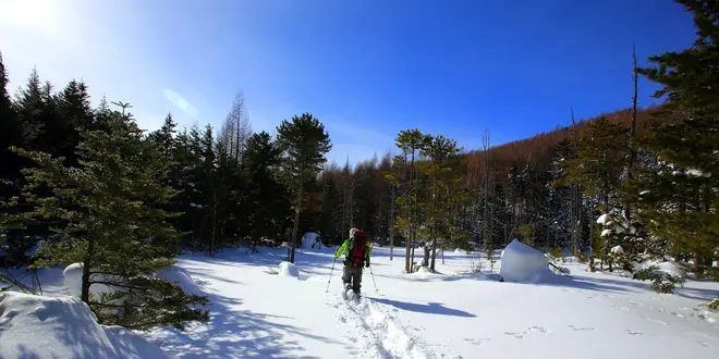 新年にスノーシューでまっさらな白銀の雪原を歩く！／乗鞍高原