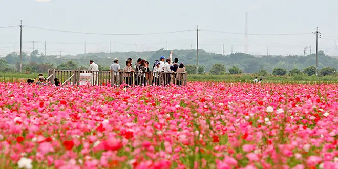 隣りまち福山人が紹介する笠岡おススメプラン