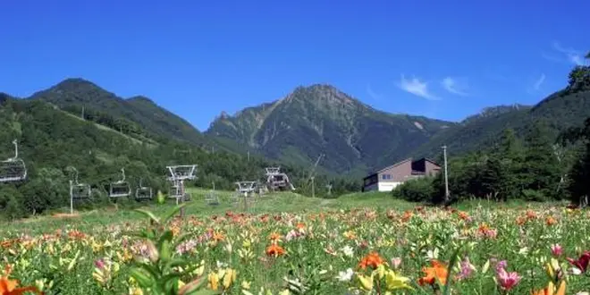 恋する恋活！！in 清里