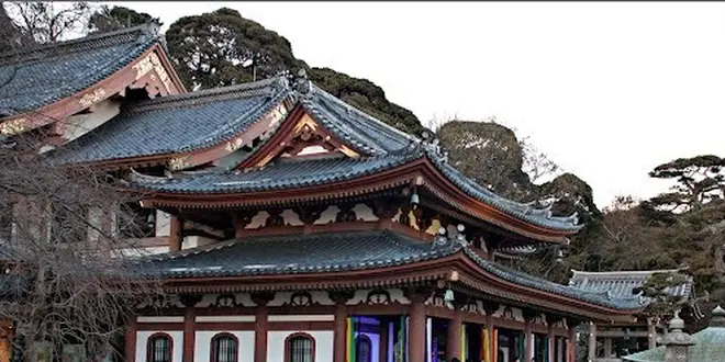 Want baby and refresh in Kamakura and Enoshima