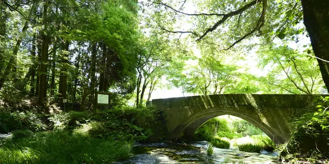 【阿蘇郡・産山村】瀬の本高原からも近い！産山村日帰りドライブ