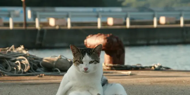 石巻ってどうなんだ？？