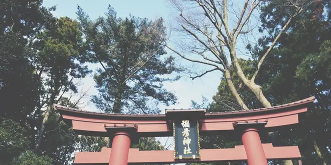 週末は温泉に入ろう！【岩室温泉編】