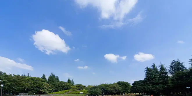 【三宿】都会でみんな大好きピクニックをしよう♡