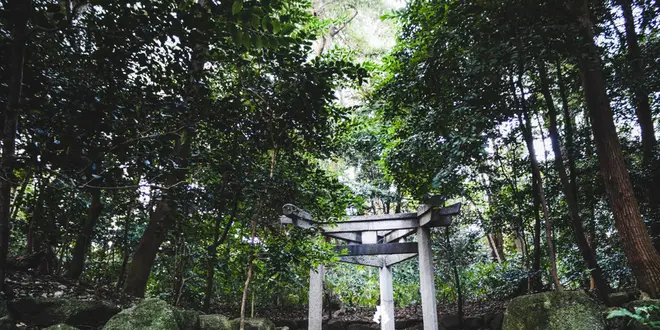 【京都】右京区のフォトジェニックなおでかけスポット📷🚶