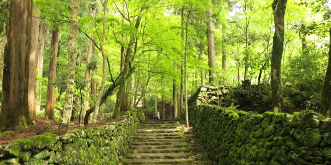京都寺社巡りの巻