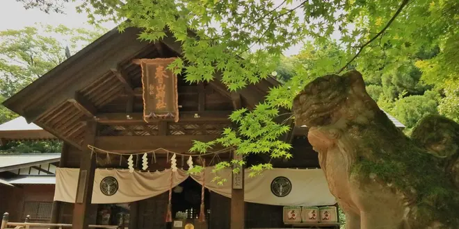 新潟といえば越後の龍、上杉謙信！