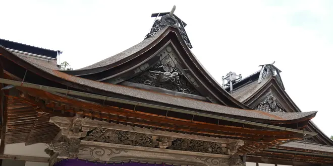 西国三十三所観音満願と高野山へ下見の旅
