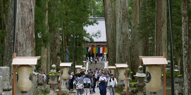 宿坊に泊まって高野山を楽しみ尽くす旅