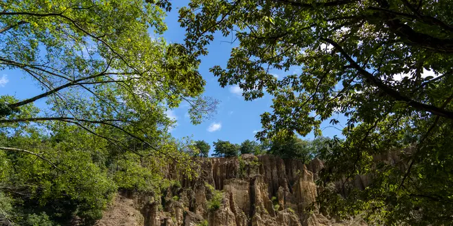 【徳島・三好】観光に最適！おすすめスポット集✨