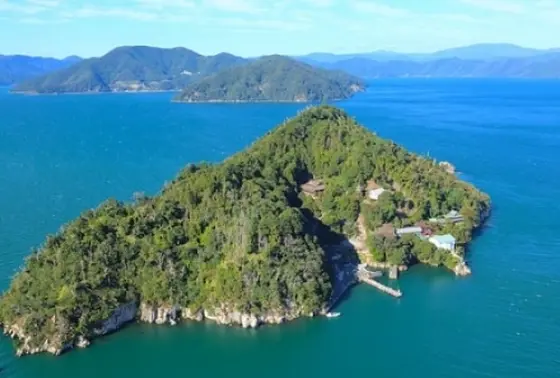 竹生島