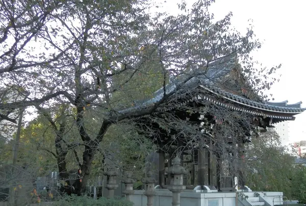 吉祥寺の写真・動画_image_101301