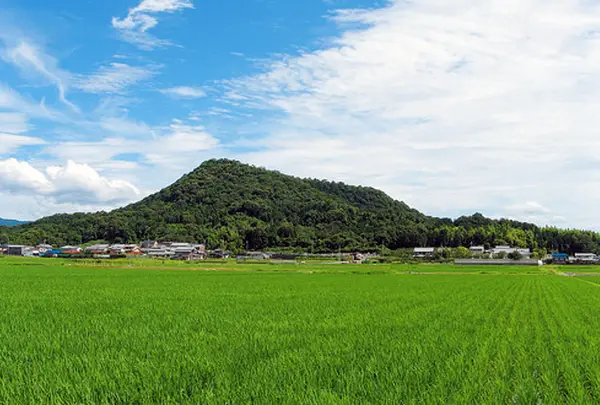 大和三山③畝傍山（うねびやま）