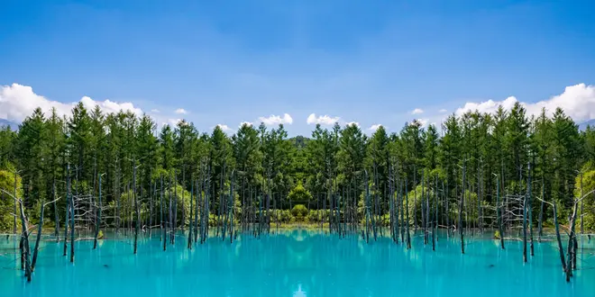 全国の行きたいところ！🌳♨️