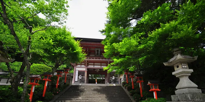 夏の京都でいい汗かこう！