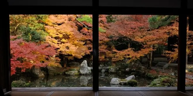 【京都】ぶらり洛北めぐり