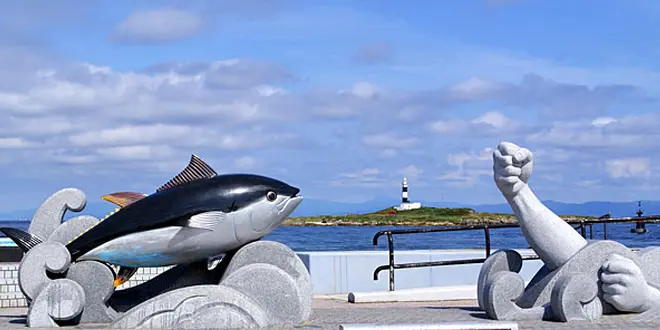 🍣マグロ🍣鮪🍣maguro🍣黒いダイヤを求めマグロ食べ放題の青森へ