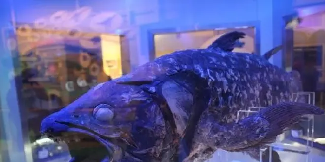 静岡水族館メイン旅行