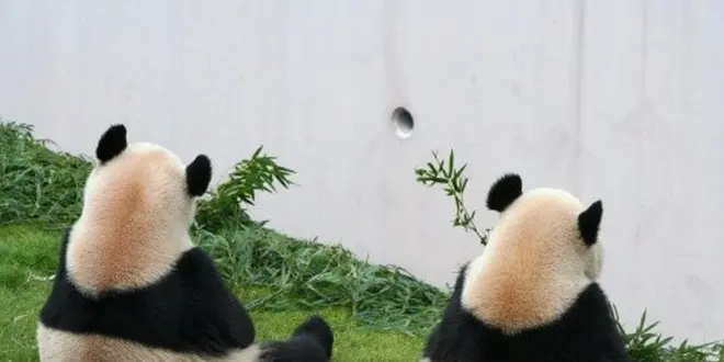 ★★初めての南紀白浜１泊2日旅行★★