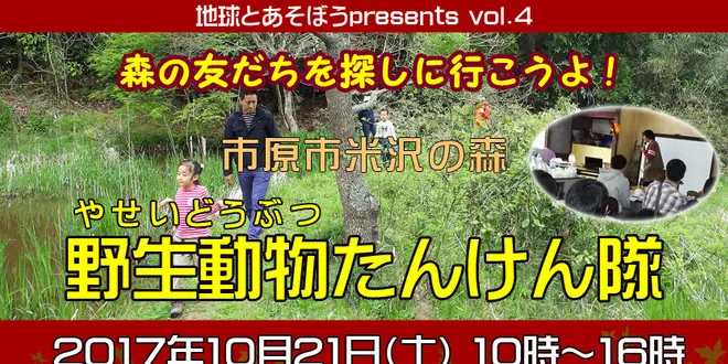 市原米沢の森　野生動物たんけん隊
