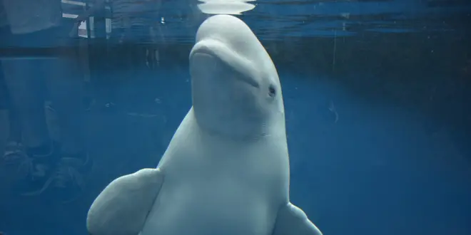 上越の水族館「うみがたり」へ行く直江津デートプラン