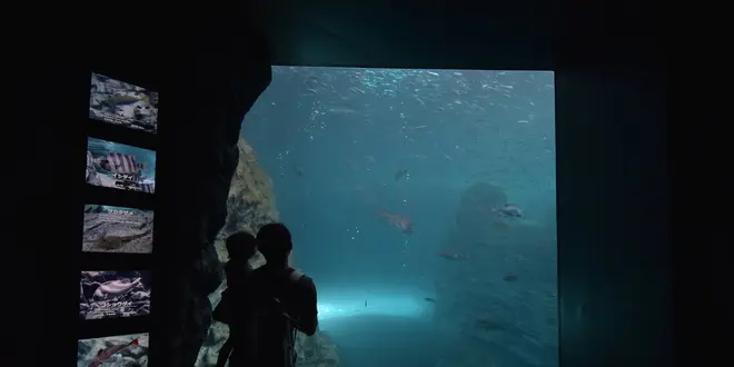 新潟上越市立の水族館「うみがたり」を含む子ども連れ向けおでかけプラン！