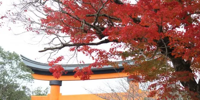 大分県の紅葉スポットめぐり