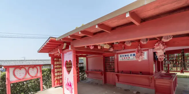 女子旅するなら！やっぱり福岡♡