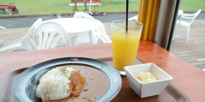 Best lunch spots & cafe in Kyoto Miyama - vol.1
