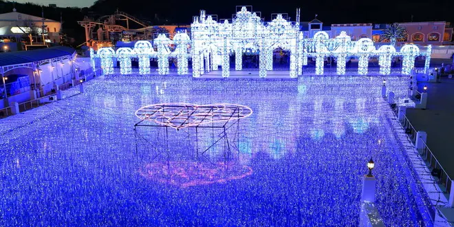 花咲かタイムズ【愛知・蒲郡市】