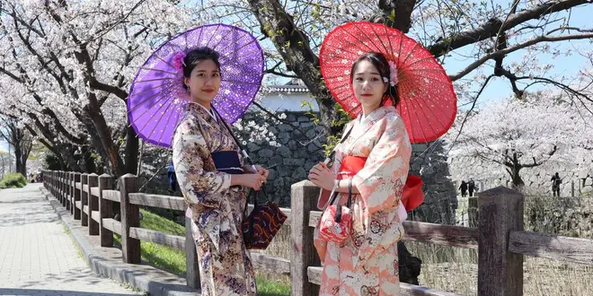 着物＆ヘアセットで優雅に福岡観光