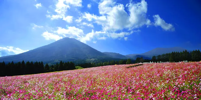 自然あふれる小林をぐるり癒されトリップへ