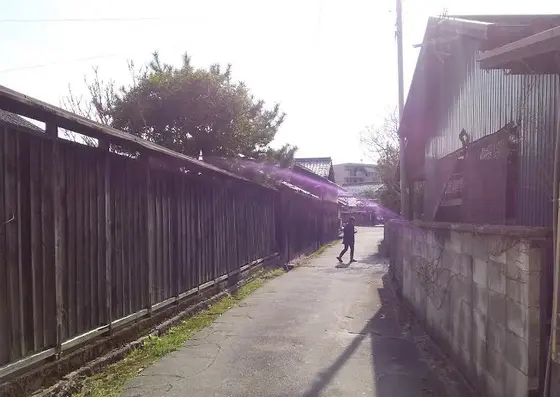古き良きたたずまい
