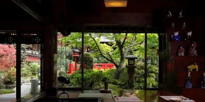 鷺沼でおしゃれにランチ！田園都市線　たまプラ、二子玉、渋谷にお出かけする前に…