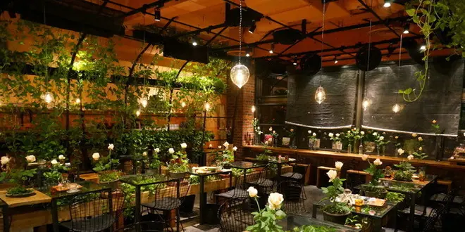 誰かに教えたくなるお洒落cafe🌿🐇