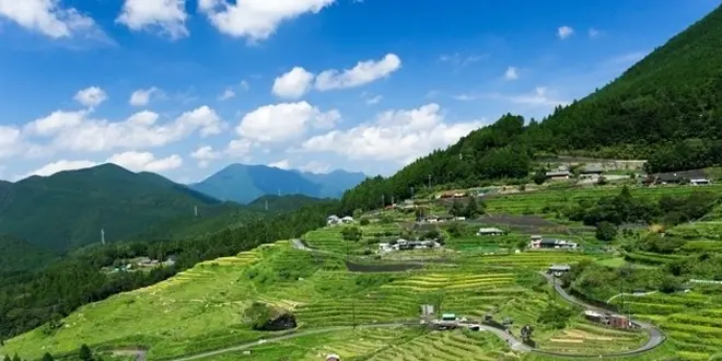 わかやま★なら