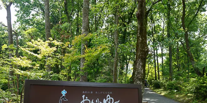 日帰り温泉日記