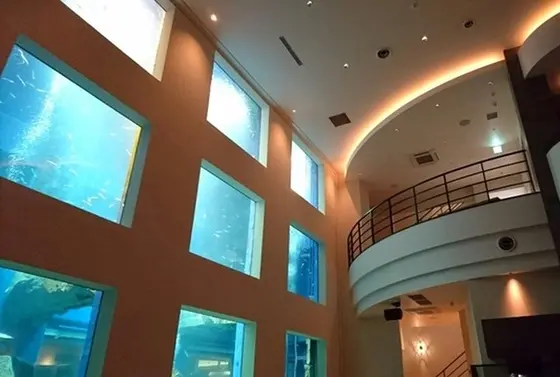 大きな水槽