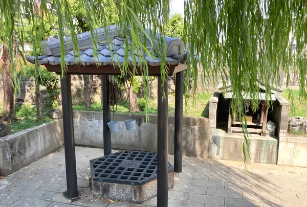 今井町の町並みの写真・動画_image_372556