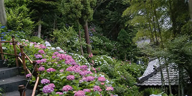 GWのお出掛け