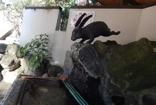 宇治神社の写真・動画_image_121535