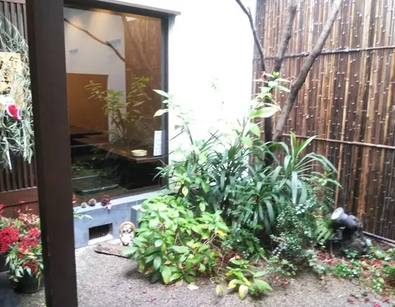 坪庭あります