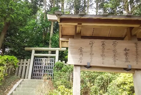 奈良時代の光と影