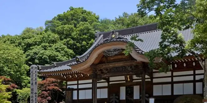 緑溢れる深大寺で大人の癒し散歩。鬼太郎茶屋や深大寺そばなどグルメスポットも！