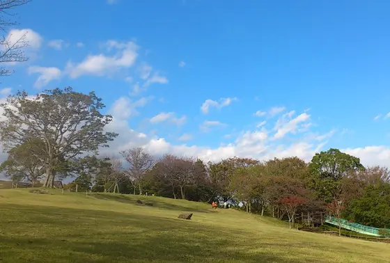 空間が広い！